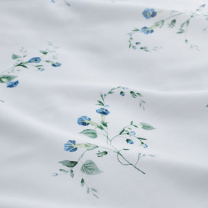Blue-product_image