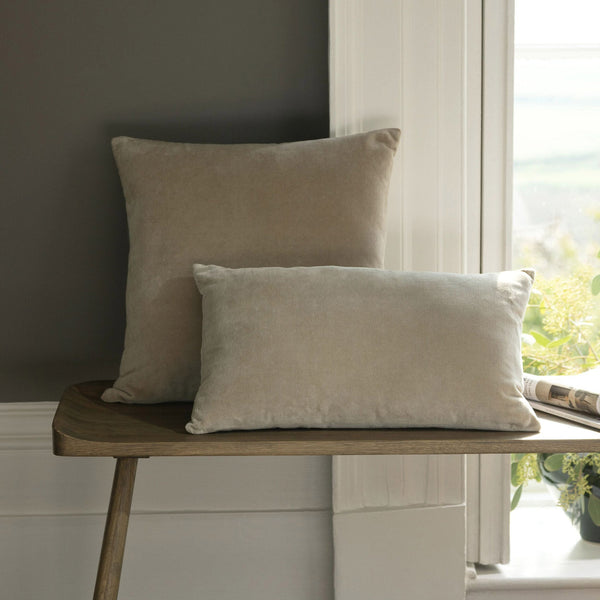 Hazelnut-product_image